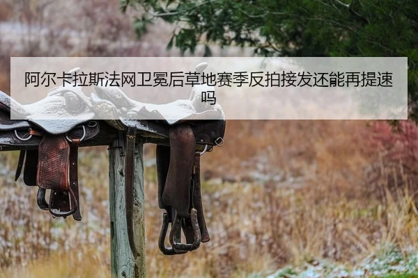 a-er-ka-la-si-fa-wang-wei-mian-hou-cao-di-sai-ji-fan-pai-jie-fa-huan-neng-zai-ti-su-ma-2-364.jpg