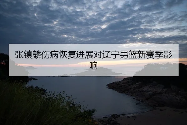 zhang-zhen-lin-shang-bing-hui-fu-jin-zhan-dui-liao-ning-nan-lan-xin-sai-ji-ying-xiang-2-150.jpg